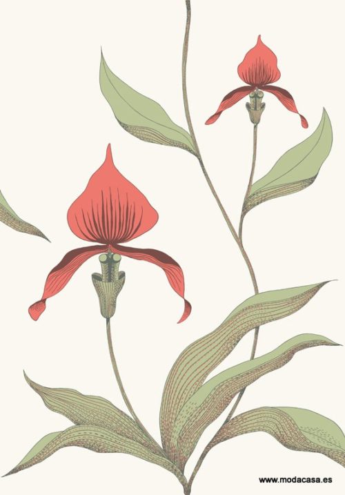 Orchid 95/10054
