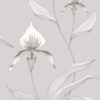 Orchid 95/10055