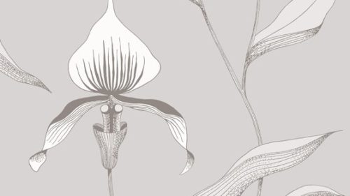 Orchid 95/10055