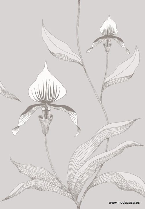 Orchid 95/10055