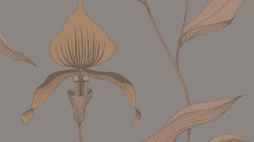 Orchid 95/10056
