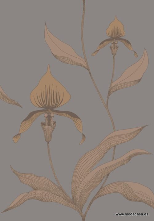 Orchid 95/10056