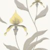 Orchid 95/10057