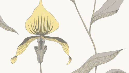 Orchid 95/10057