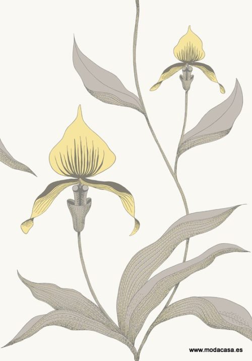 Orchid 95/10057
