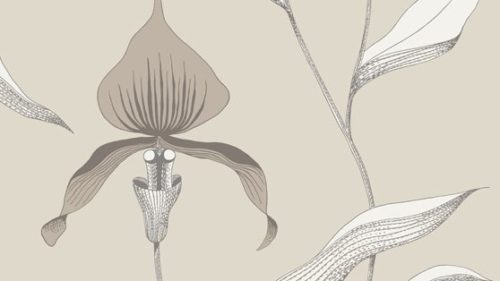 Orchid 95/10058