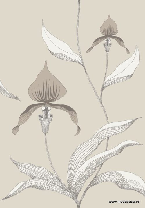 Orchid 95/10058