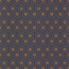 Hicks' Hexagon 95/3015