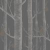 Woods & Pears 95/5031