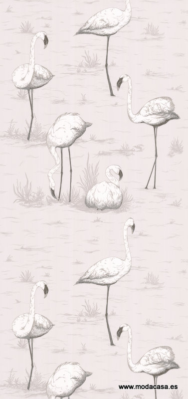 Flamingos 95/8046