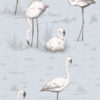 Flamingos 95/8047