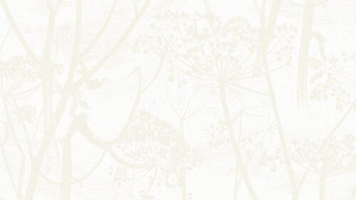 Cow Parsley  95/9052