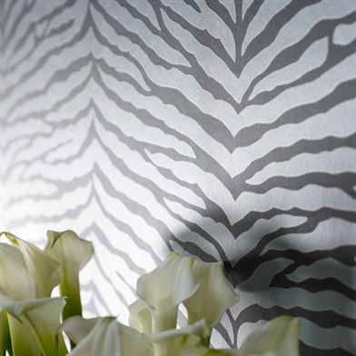 Quagga W6304-03