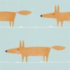 MISTER FOX NSWA110849
