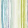ZING NSWA110824