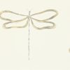 DRAGONFLY NMEL110243
