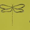DRAGONFLY NMEL110245