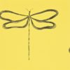 DRAGONFLY NMEL110248