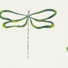 DRAGONFLY NMEL110249