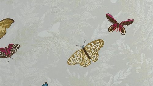 FARFALLA NCW4010-01