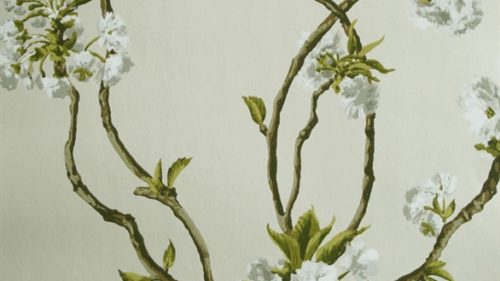 ORCHARD BLOSSOM NCW4027-05