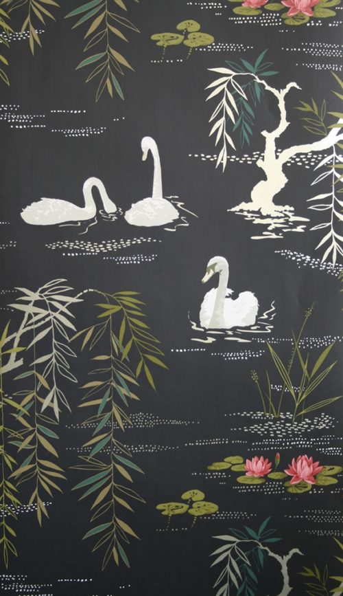 SWAN LAKE NCW4020-04