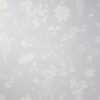 WISTERIA NCW2242-01
