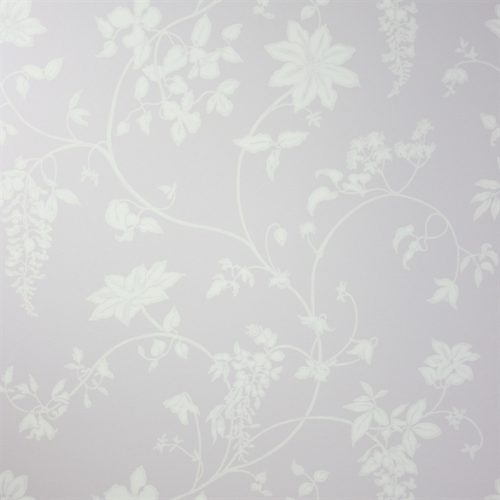WISTERIA NCW2242-01