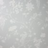 WISTERIA NCW2242-03
