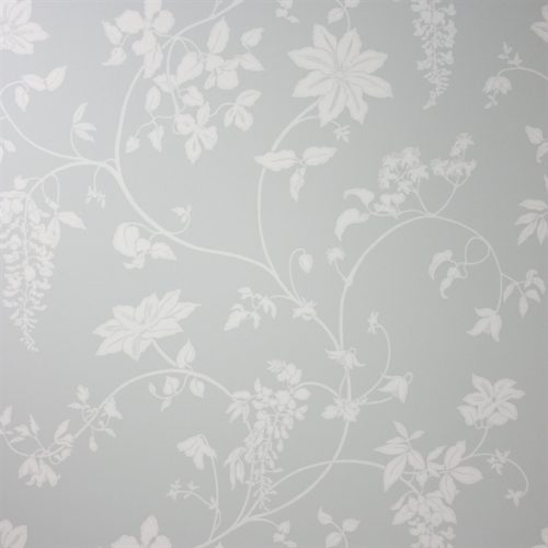 WISTERIA NCW2242-03
