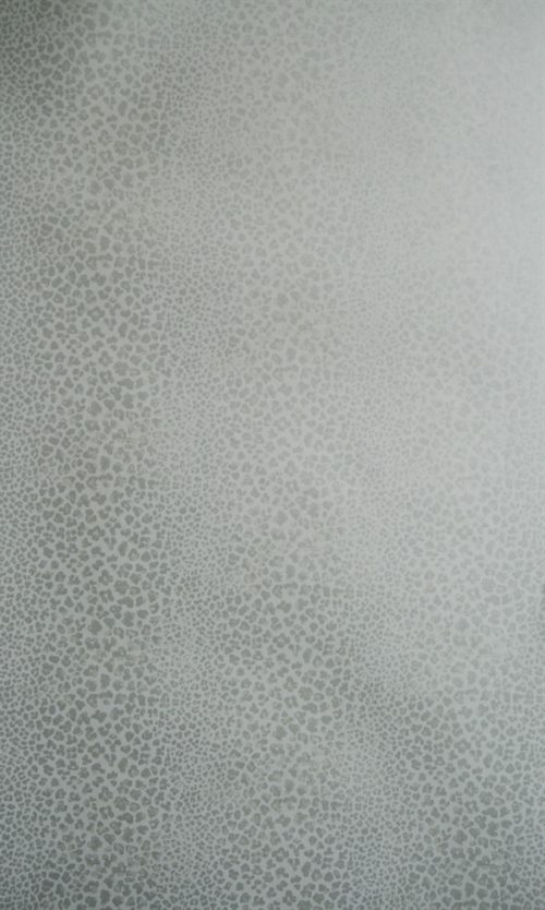 BAGATELLE SPOT NCW4026-04