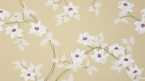 MALLENY NCW4065-05