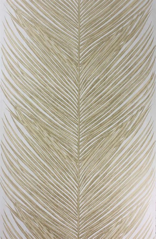 MEY FERN NCW4154-01