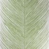 MEY FERN NCW4154-03