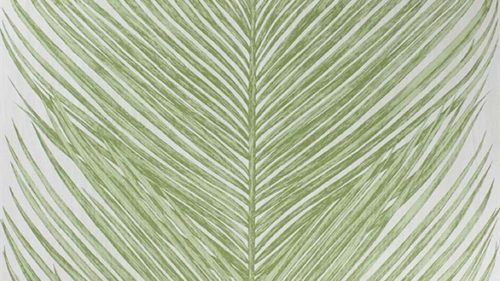 MEY FERN NCW4154-03