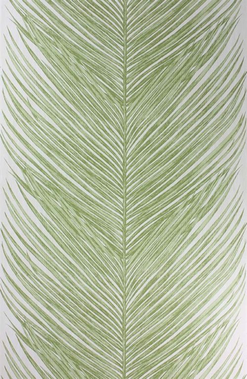 MEY FERN NCW4154-03