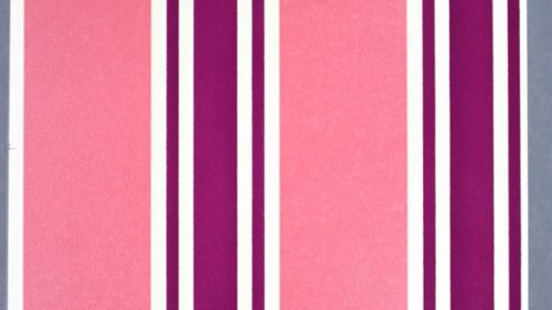 PERROQUET STRIPE NCW3832-01