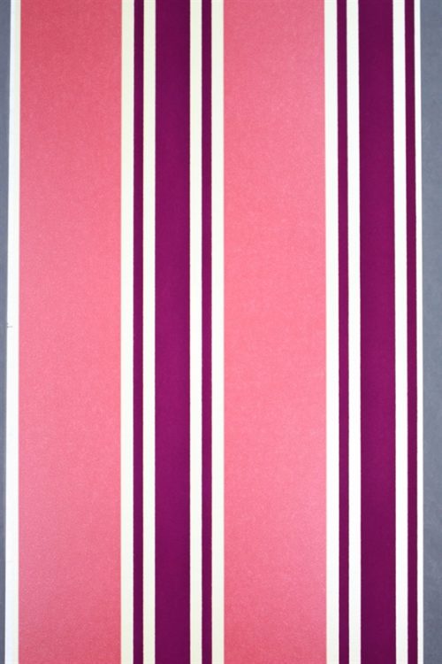 PERROQUET STRIPE NCW3832-01