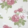 ROSA ALBA NCW4033-02
