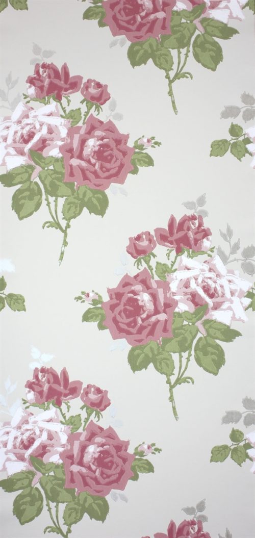 ROSA ALBA NCW4033-02