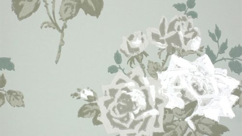 ROSA ALBA NCW4033-03