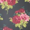 ROSA ALBA NCW4033-05