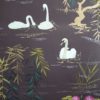 SWAN LAKE NCW4020-02