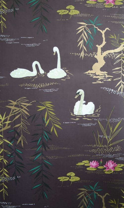 SWAN LAKE NCW4020-02