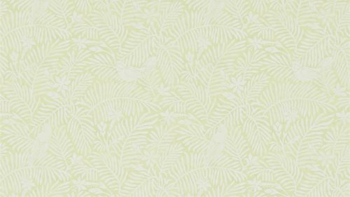 CALICO BIRDS DCHK213734