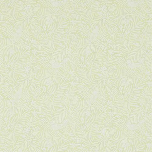 CALICO BIRDS DCHK213734