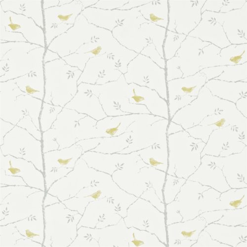 DAWN CHORUS DCHK213716