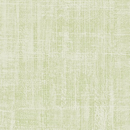 WASHI DCHK213727