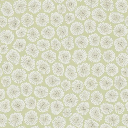 WIND FLOWERS DCHK213714