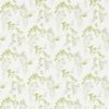 WISTERIA BLOSSOM DCHK213742